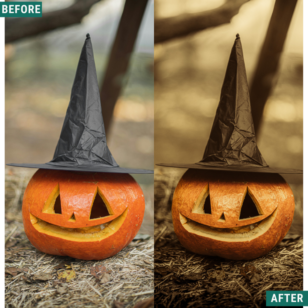 Spooky Vintage LIMITED Lightroom Presets Pack