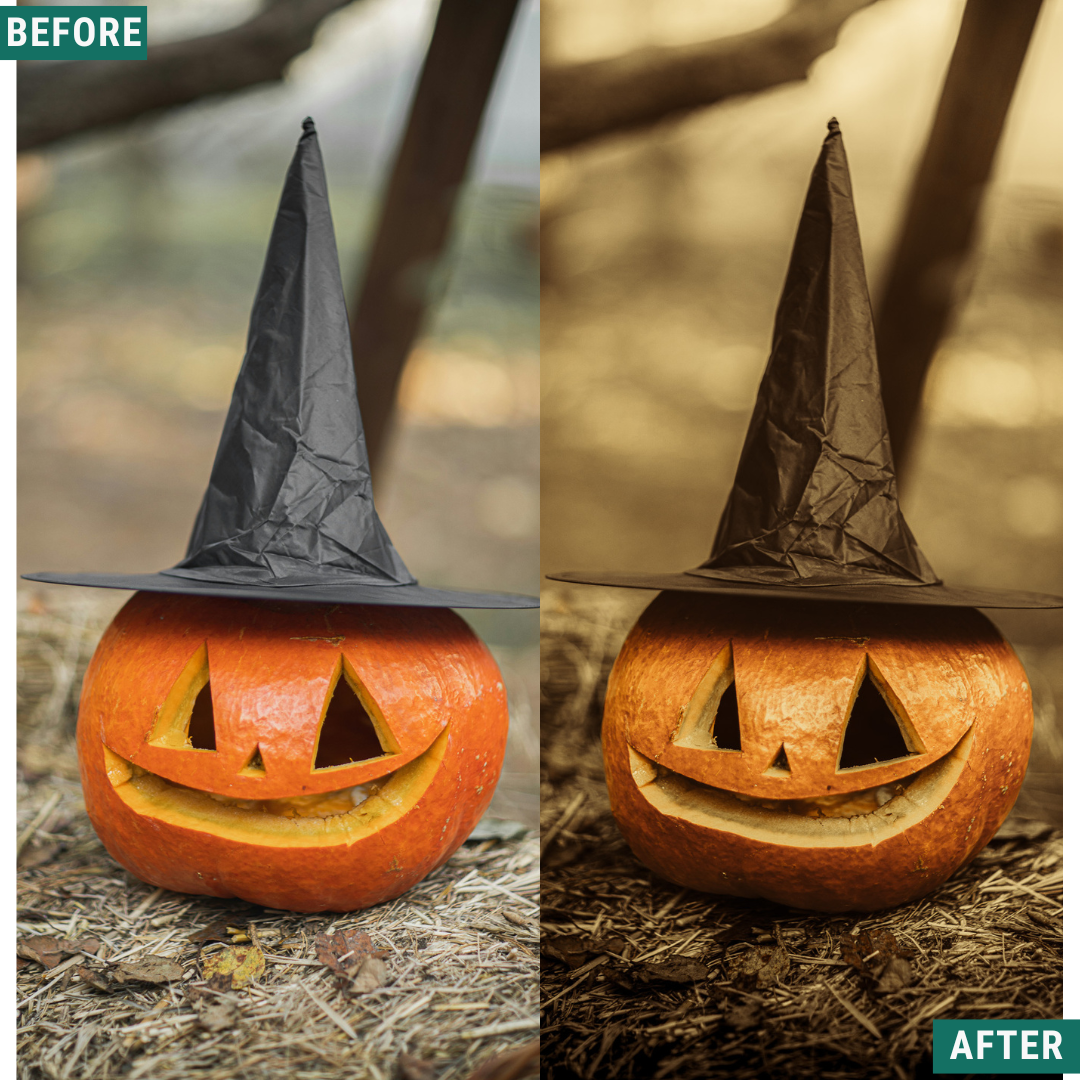 Spooky Vintage LIMITED Lightroom Presets Pack