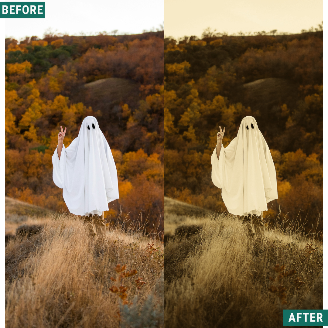 Spooky Vintage LIMITED Lightroom Presets Pack
