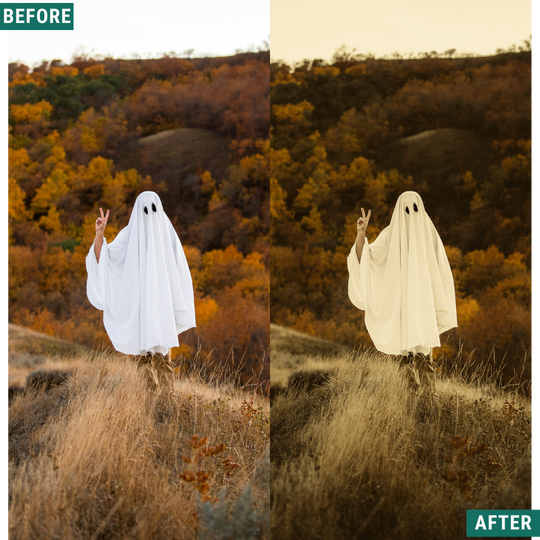 Spooky Vintage LIMITED Lightroom Presets Pack