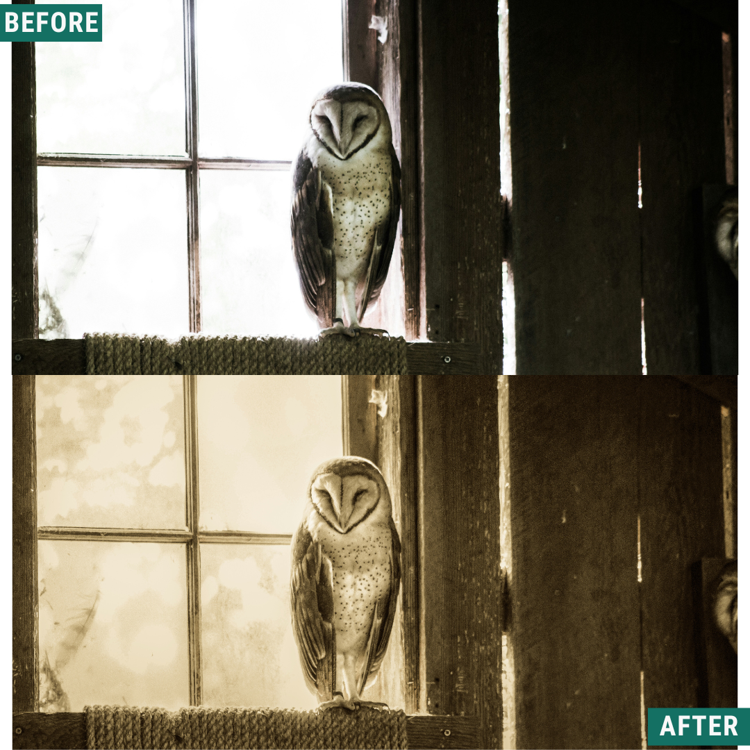 Spooky Vintage LIMITED Lightroom Presets Pack