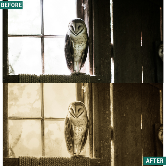 Spooky Vintage LIMITED Lightroom Presets Pack