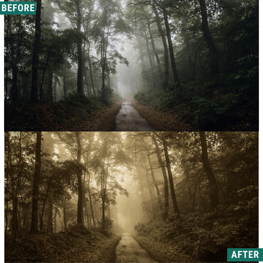 Spooky Vintage LIMITED Lightroom Presets Pack