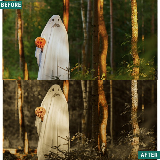 Spooky Vintage LIMITED Lightroom Presets Pack