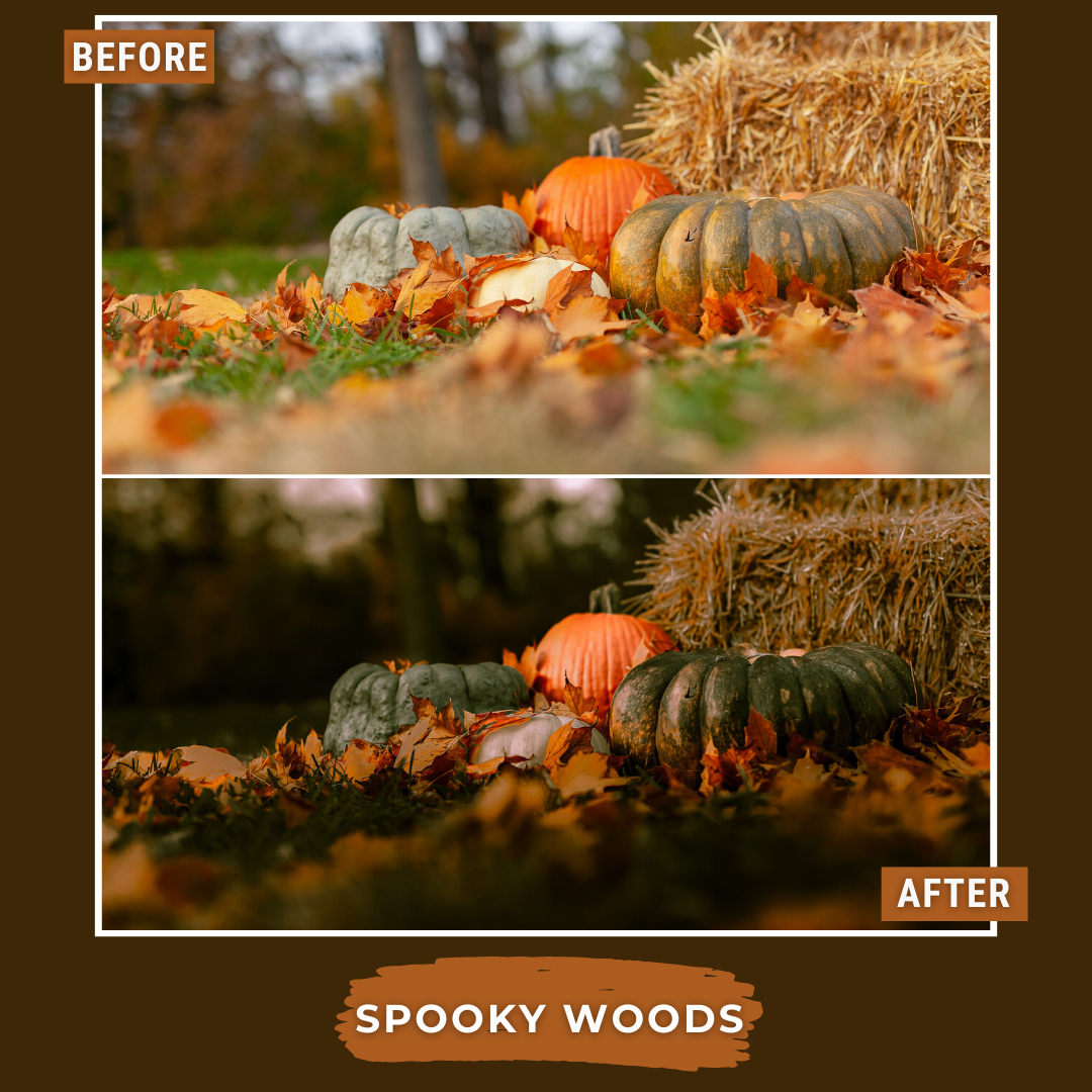 Spooky Bundle LIMITED 80 Lightroom Presets