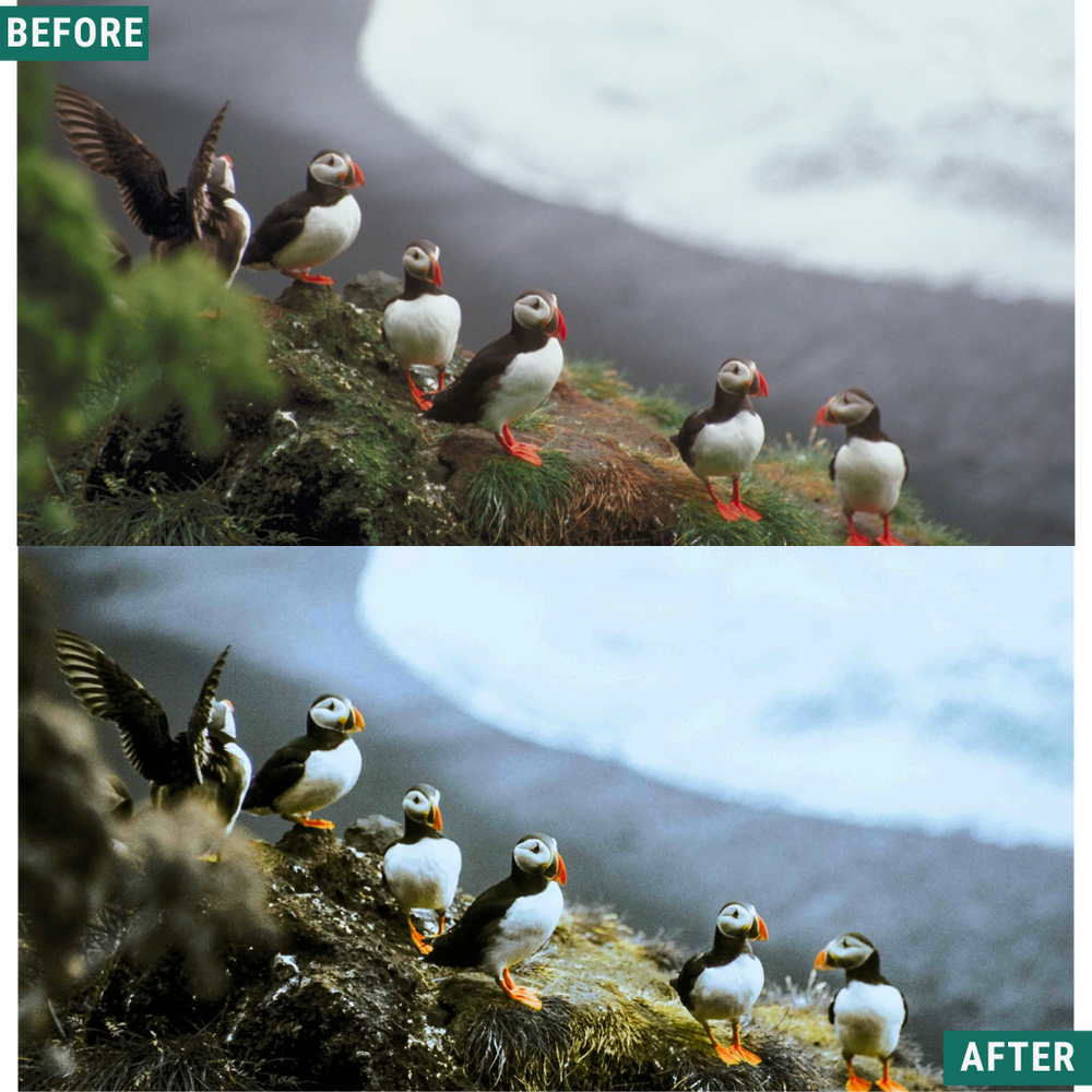 Snow Valley LIMITED Lightroom Presets Pack