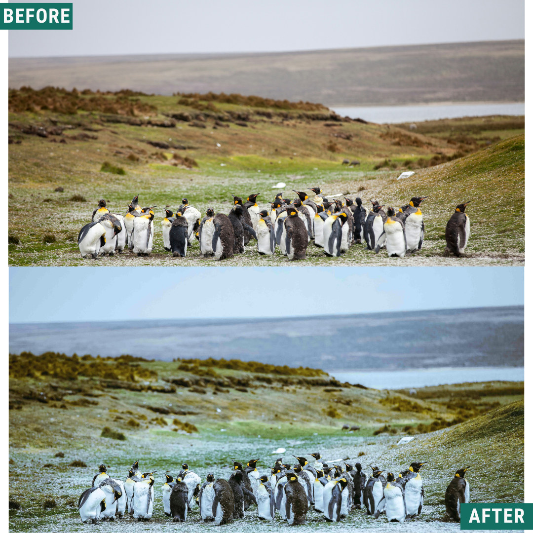 Snow Valley LIMITED Lightroom Presets Pack