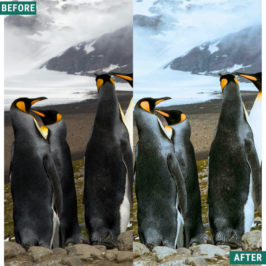 Snow Valley LIMITED Lightroom Presets Pack