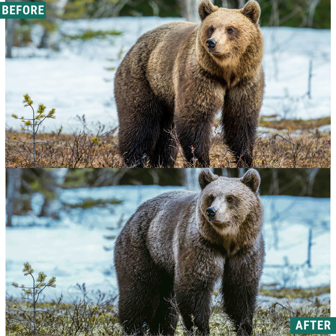 Snow Valley LIMITED Lightroom Presets Pack