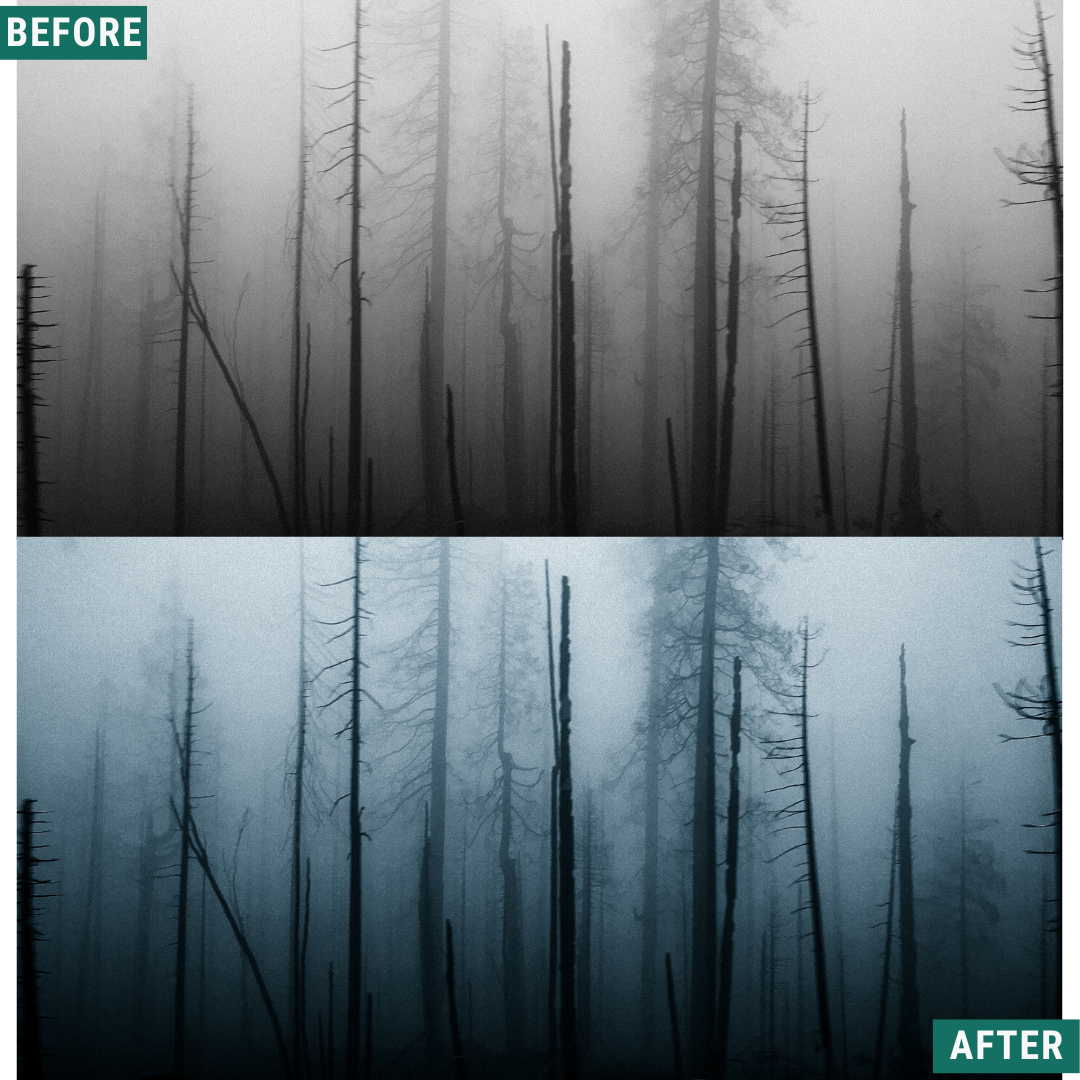 Spooky Chill Lightroom Presets Pack