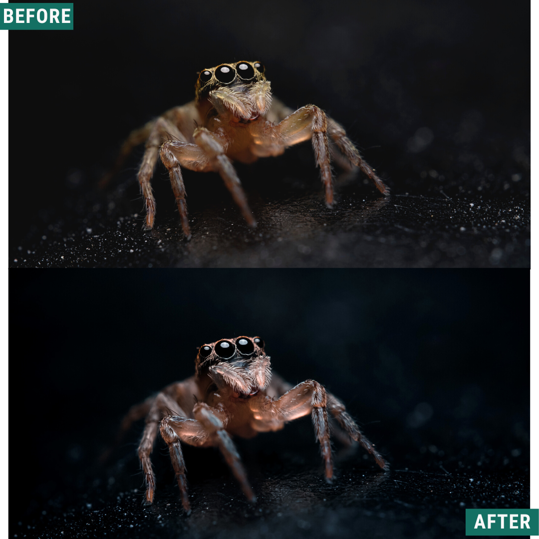 Spooky Chill Lightroom Presets Pack