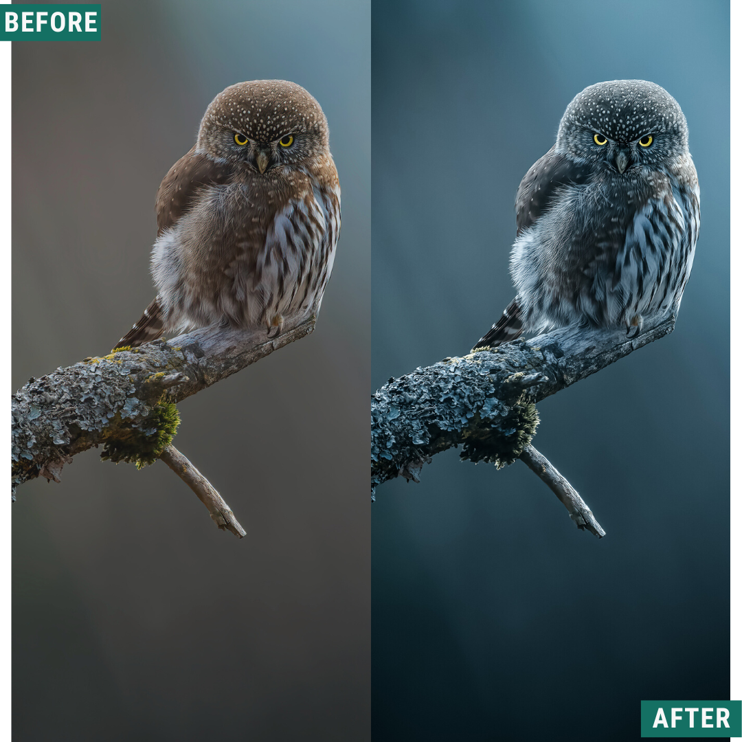 Spooky Chill Lightroom Presets Pack