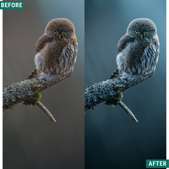 Spooky Chill Lightroom Presets Pack