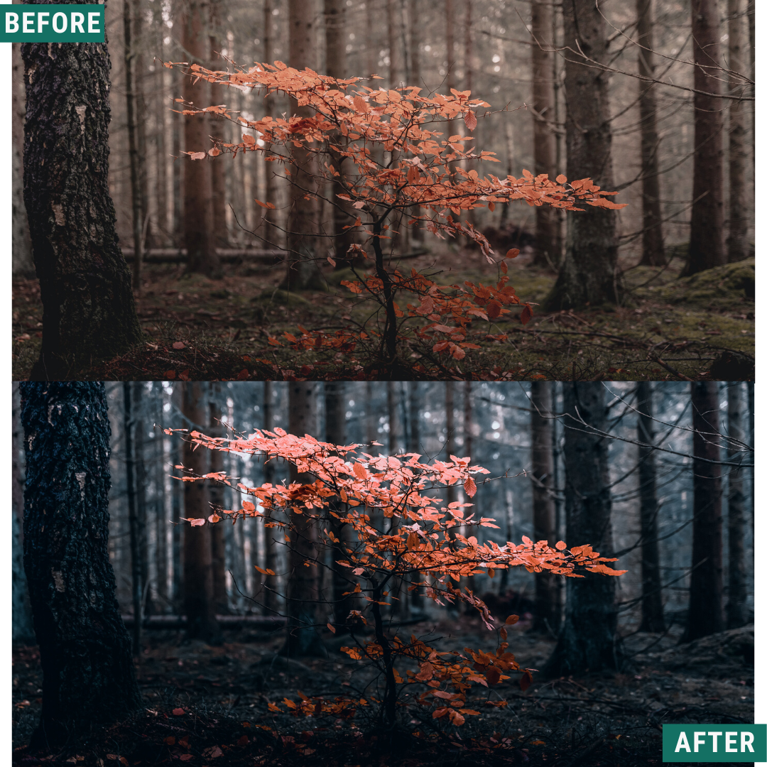 Spooky Chill Lightroom Presets Pack