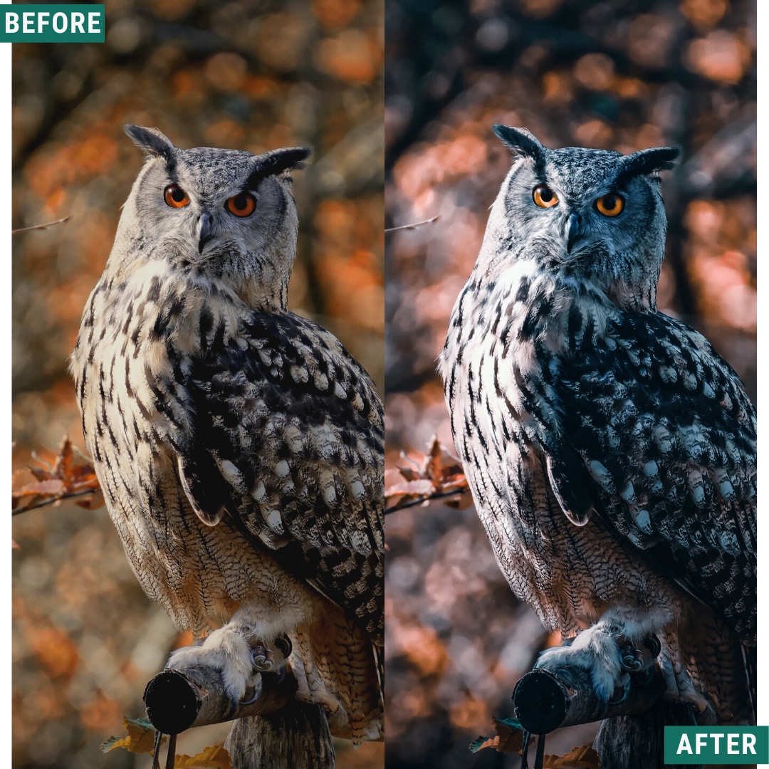 Spooky Chill Lightroom Presets Pack