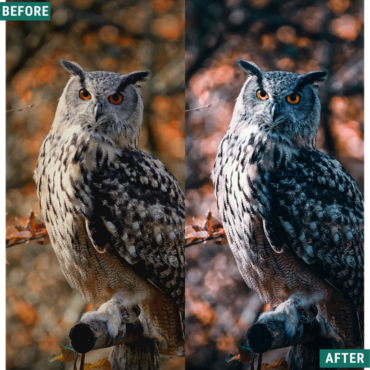 Spooky Chill Lightroom Presets Pack