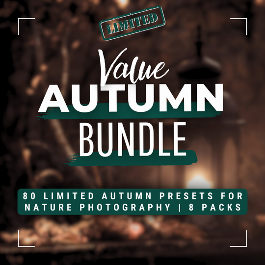 Autumn Value Bundle 80 Capture One & LUT Presets