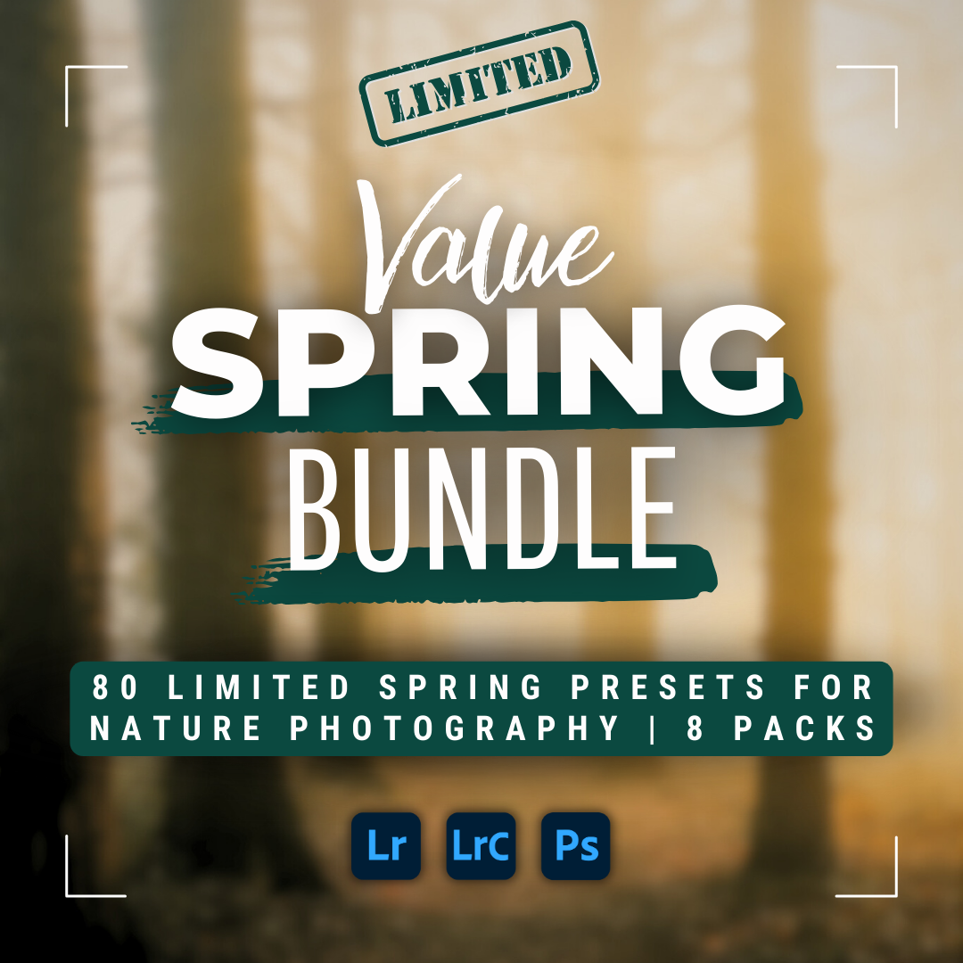 Spring Value Bundle 80 Lightroom Presets