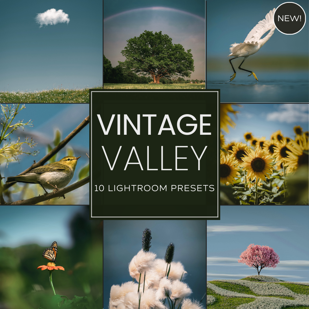 Vintage Valley Limited Lightroom Presets Pack: Film Aesthetic Nature Photography Edits with Dusty Blues and Sun-Kissed Sage Tones for Desktop and Mobile.