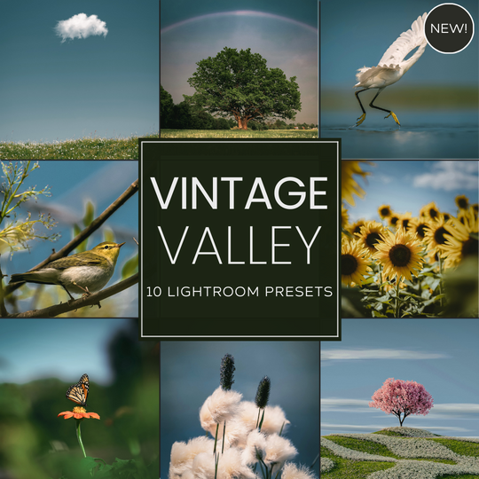 Vintage Valley LIMITED Lightroom Presets Pack