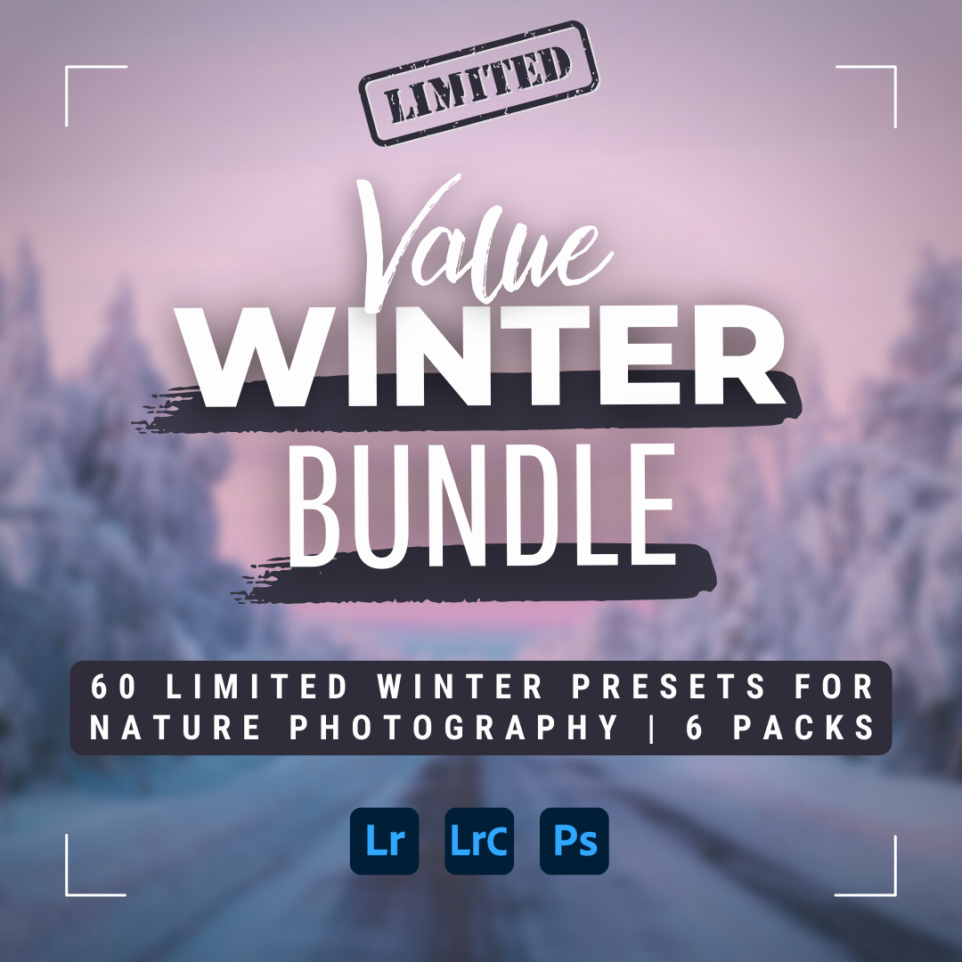 Winter Value Bundle 60 Lightroom Presets