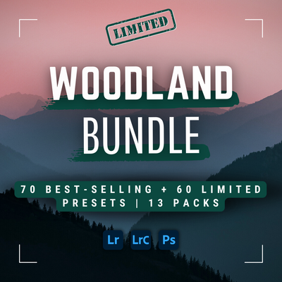 Woodland Bundle 130 Best Selling Lightroom Presets