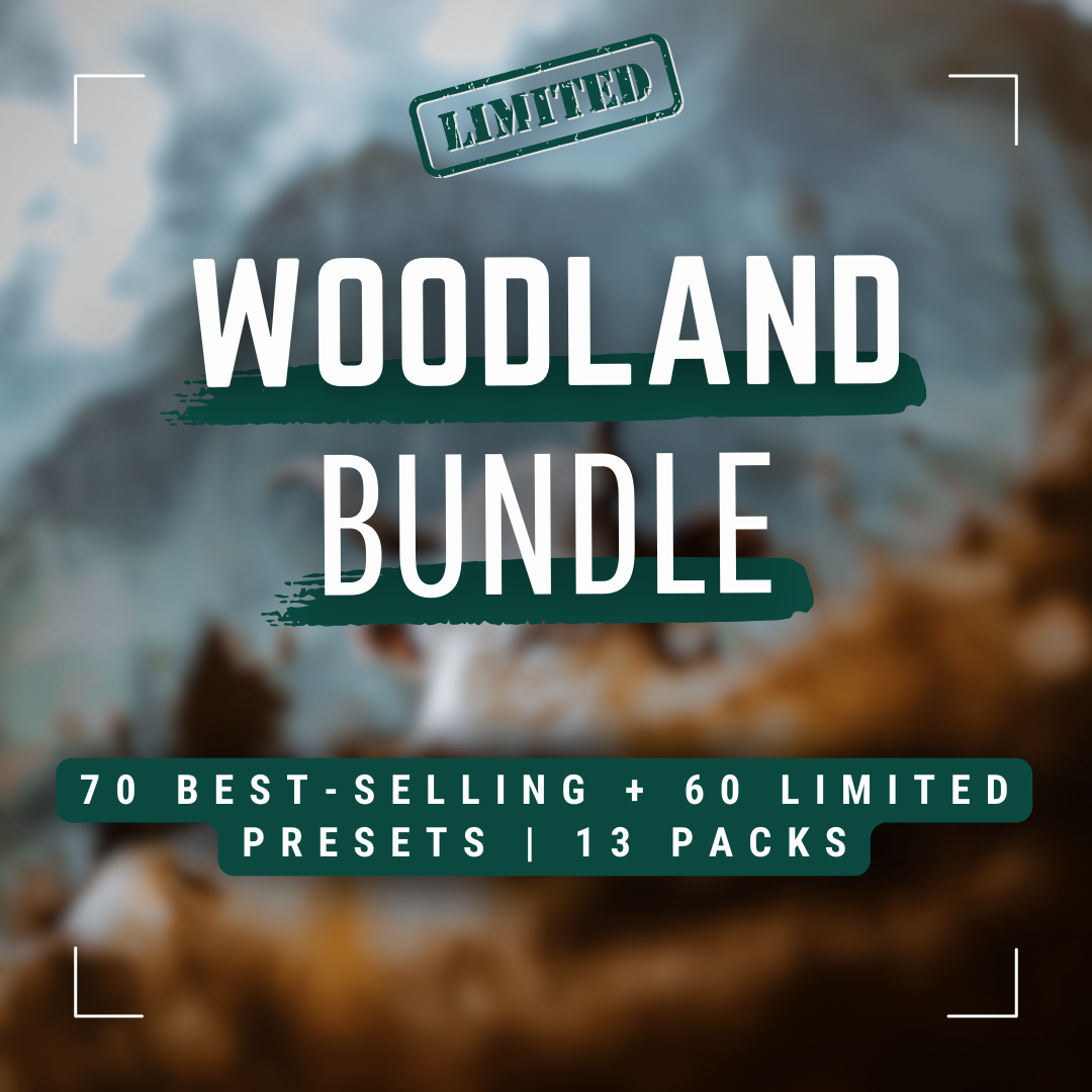 Woodland Bundle 130 Bestseller Capture One & LUT Presets Herbst