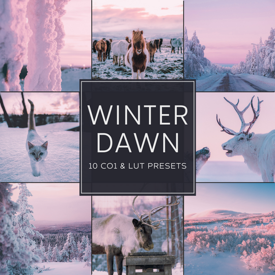 Winter Dawn Capture One & LUT Presets Pack