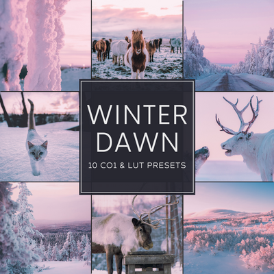 Winter Dawn LIMITED Capture One & LUT Presets Pack