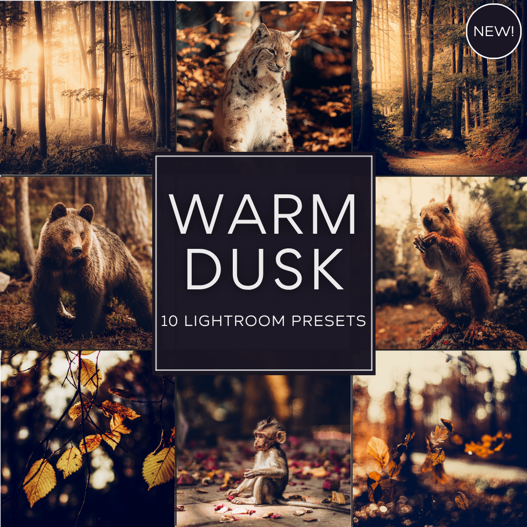 Warm Dusk LIMITED Lightroom Presets Pack