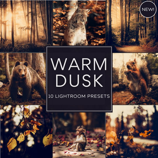 Warm Dusk LIMITED Lightroom Presets Pack