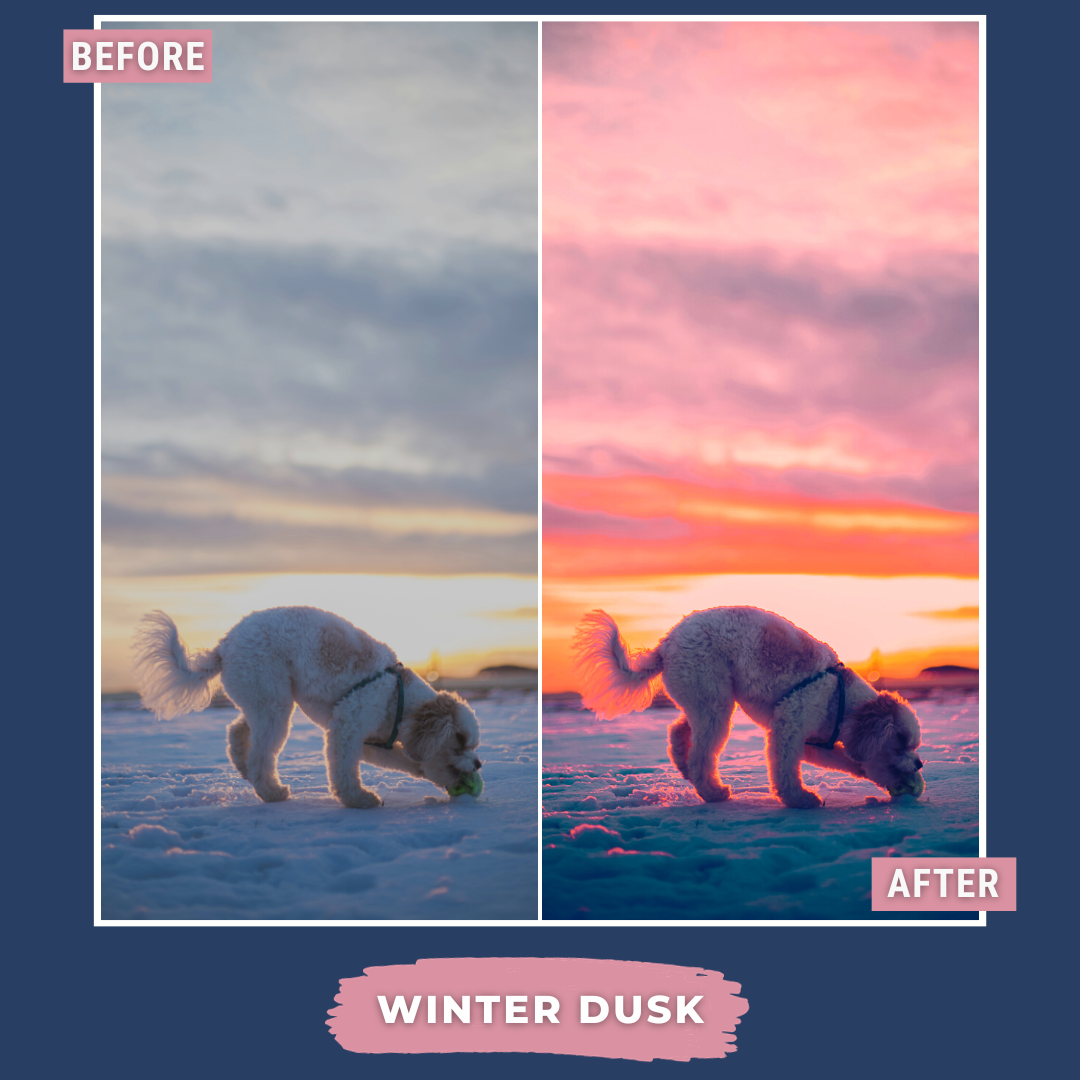 Winter Value Bundle 80 Capture One & LUT Presets