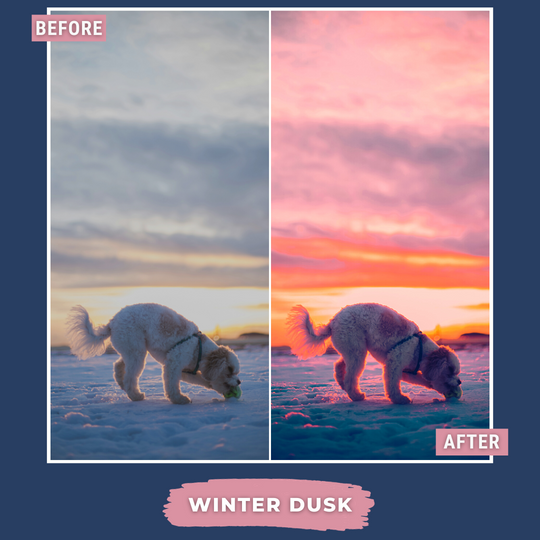 Winter Value Bundle 80 Capture One & LUT Presets