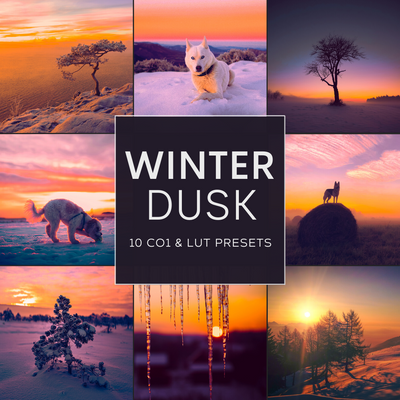 Winter Dusk LIMITED Capture One & LUT Presets Pack