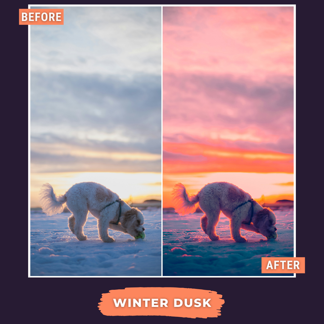 Master Collection Capture One & LUT Presets Bundle Winter