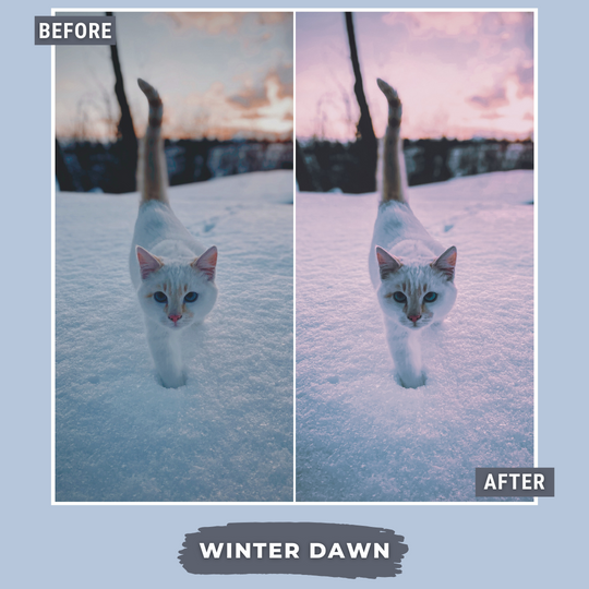 Master Collection Bundle 620 Lightroom Presets + 75 Bonus AI Winter Presets