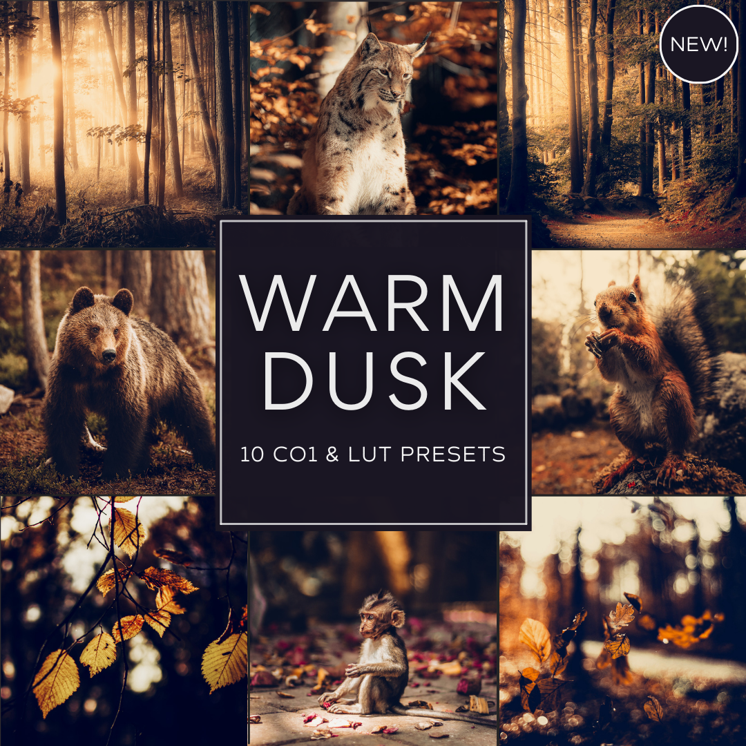 Warm Dusk LIMITED Capture One & LUT Presets Pack