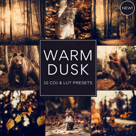 Mono Fall LIMITIERTES Lightroom-Presets-Paket
