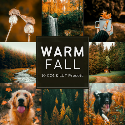 Warm Fall LIMITED Capture One & LUT Presets Pack