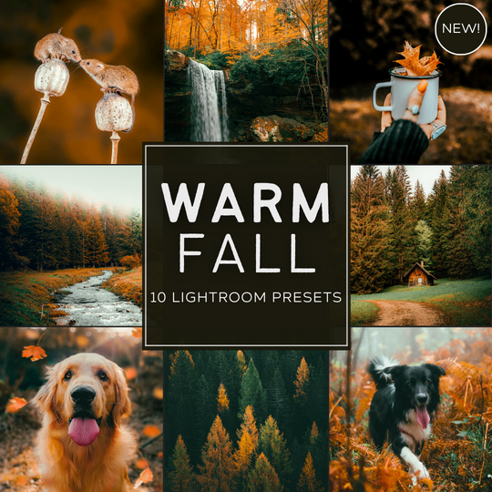 Warm Fall LIMITED Lightroom Presets Pack