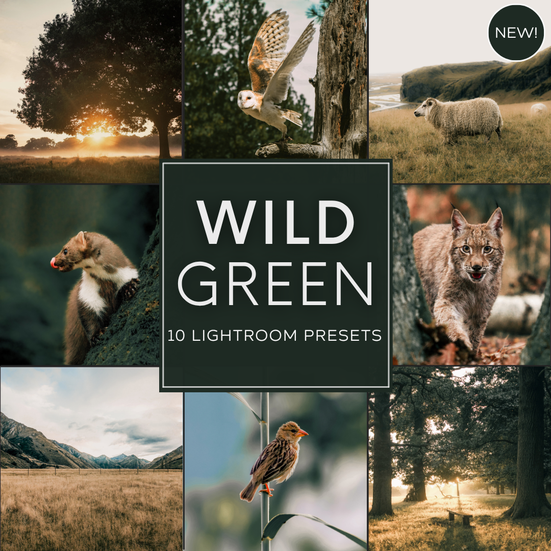 Wild Green Lightroom Presets Pack