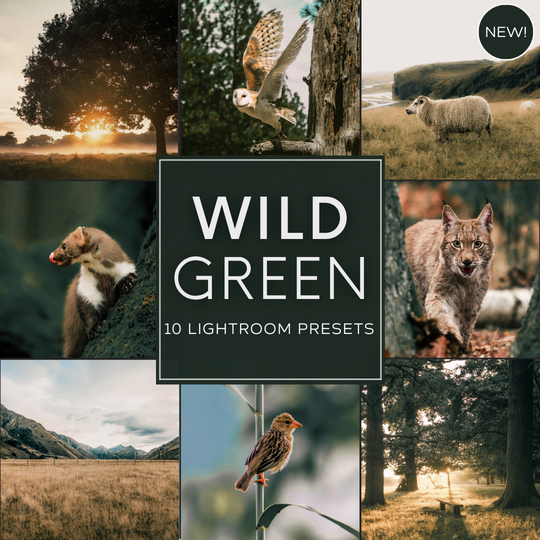 Wild Green Lightroom Presets Pack