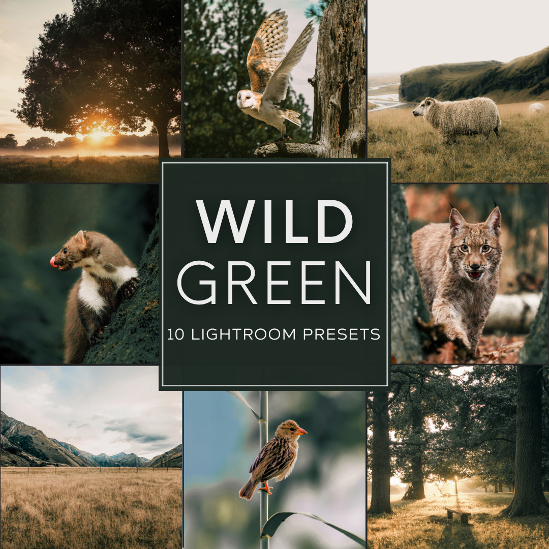 Wild Green Lightroom Presets Pack