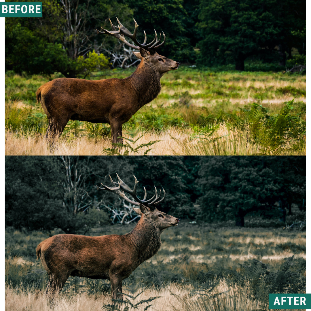 Wild Green Lightroom Presets Pack