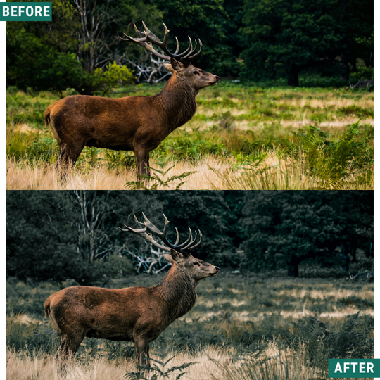 Wild Green Lightroom Presets Pack