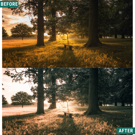 Wild Green Lightroom Presets Pack