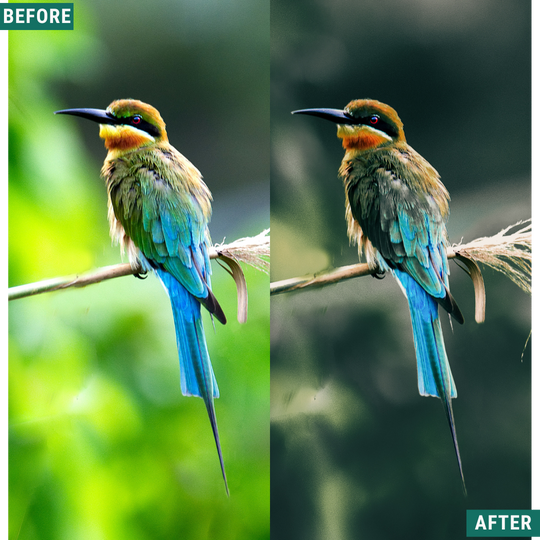 Wild Green Lightroom Presets Pack