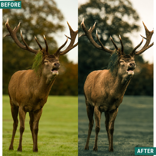 Wild Green Lightroom Presets Pack