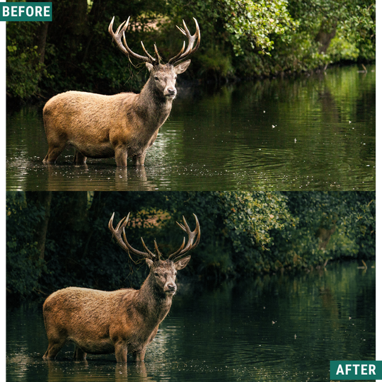 Wild Green Lightroom Presets Pack