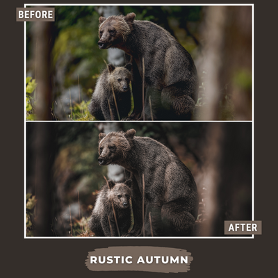 Woodland Bundle 150 Best Selling Lightroom Presets